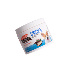Close-up of Palmer's for Pets cocoa butter nose balm on dog nose, fragrance-free