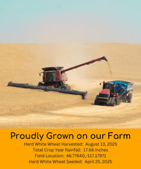 Palouse Brand farm-to-table field view emphasizing sustainable farming.