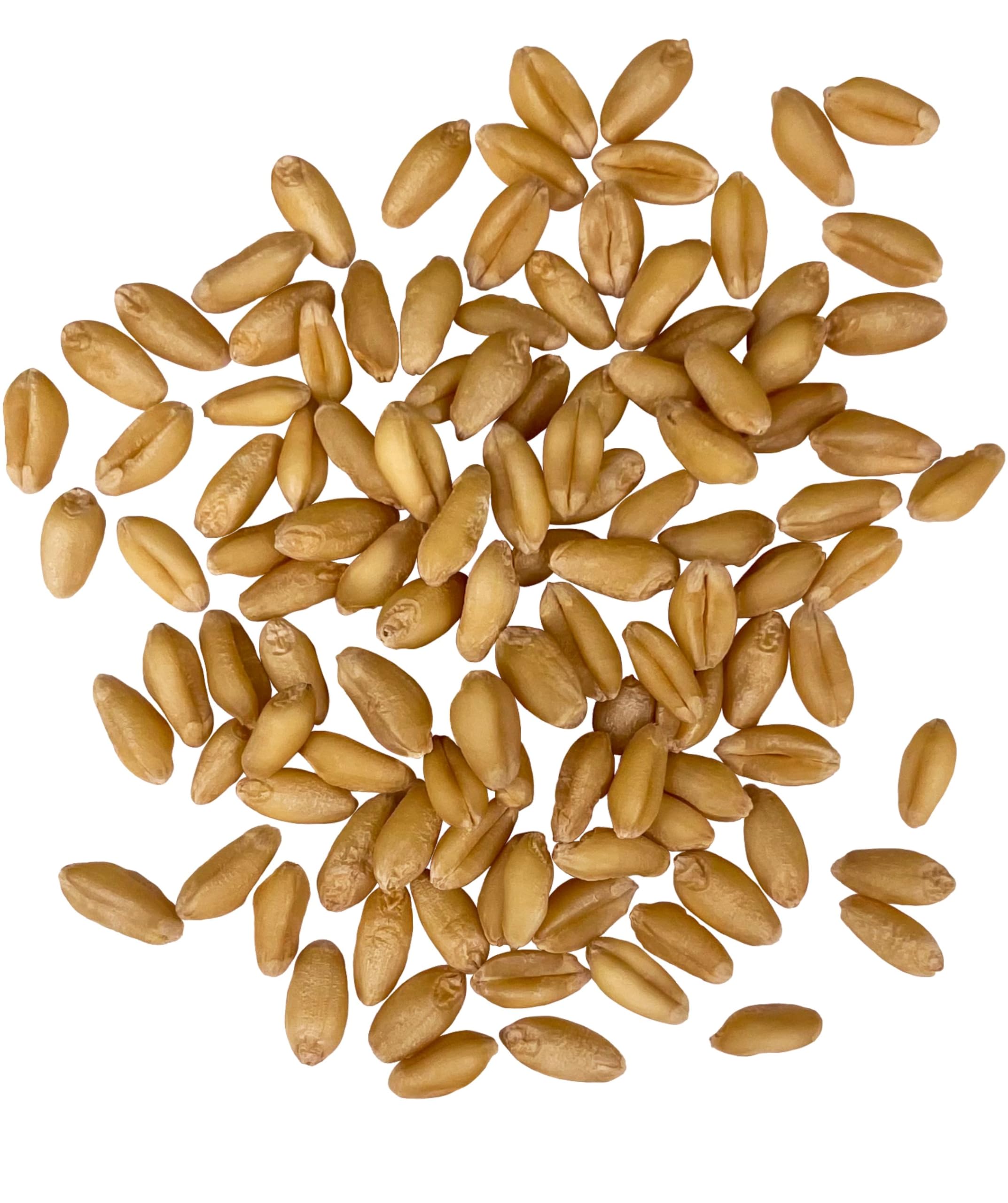 Palouse Brand field-traced label highlights transparent farm sourcing.