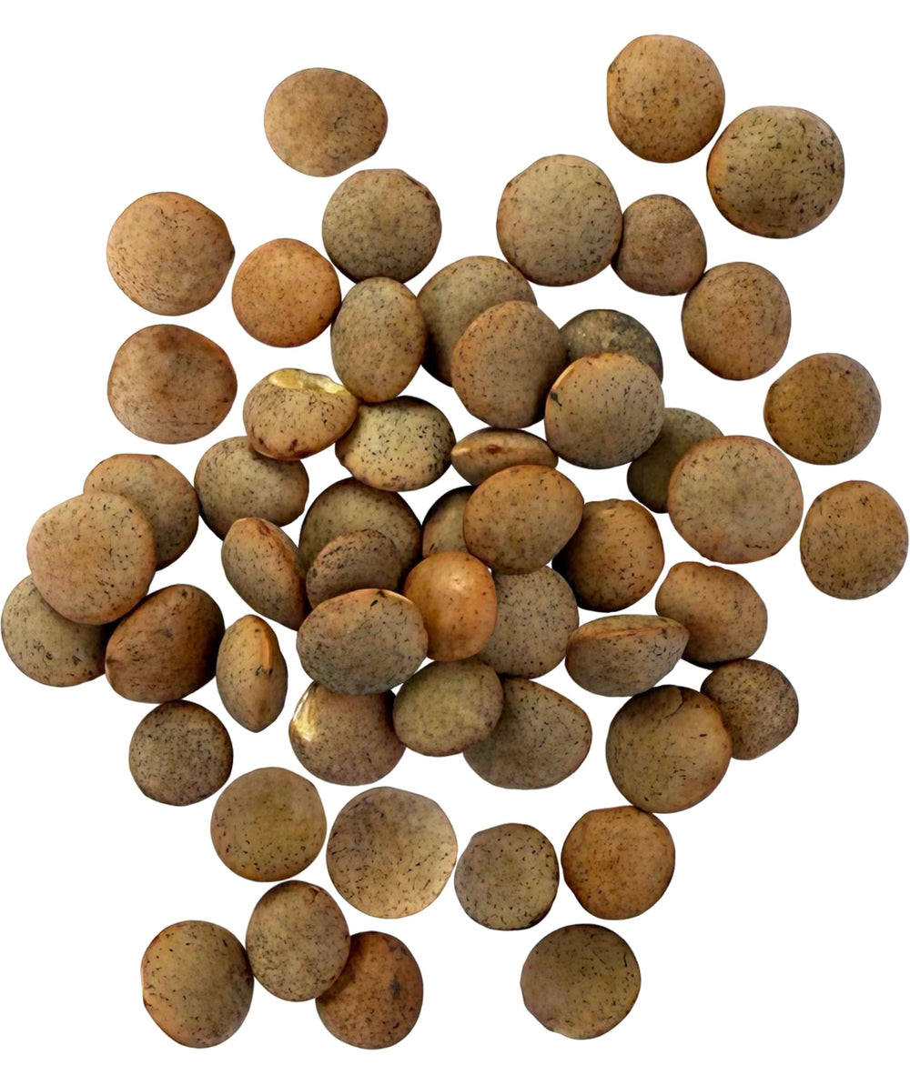 Palouse Brand glyphosate-residue-free lentils in a clear bag for health-conscious cooking.