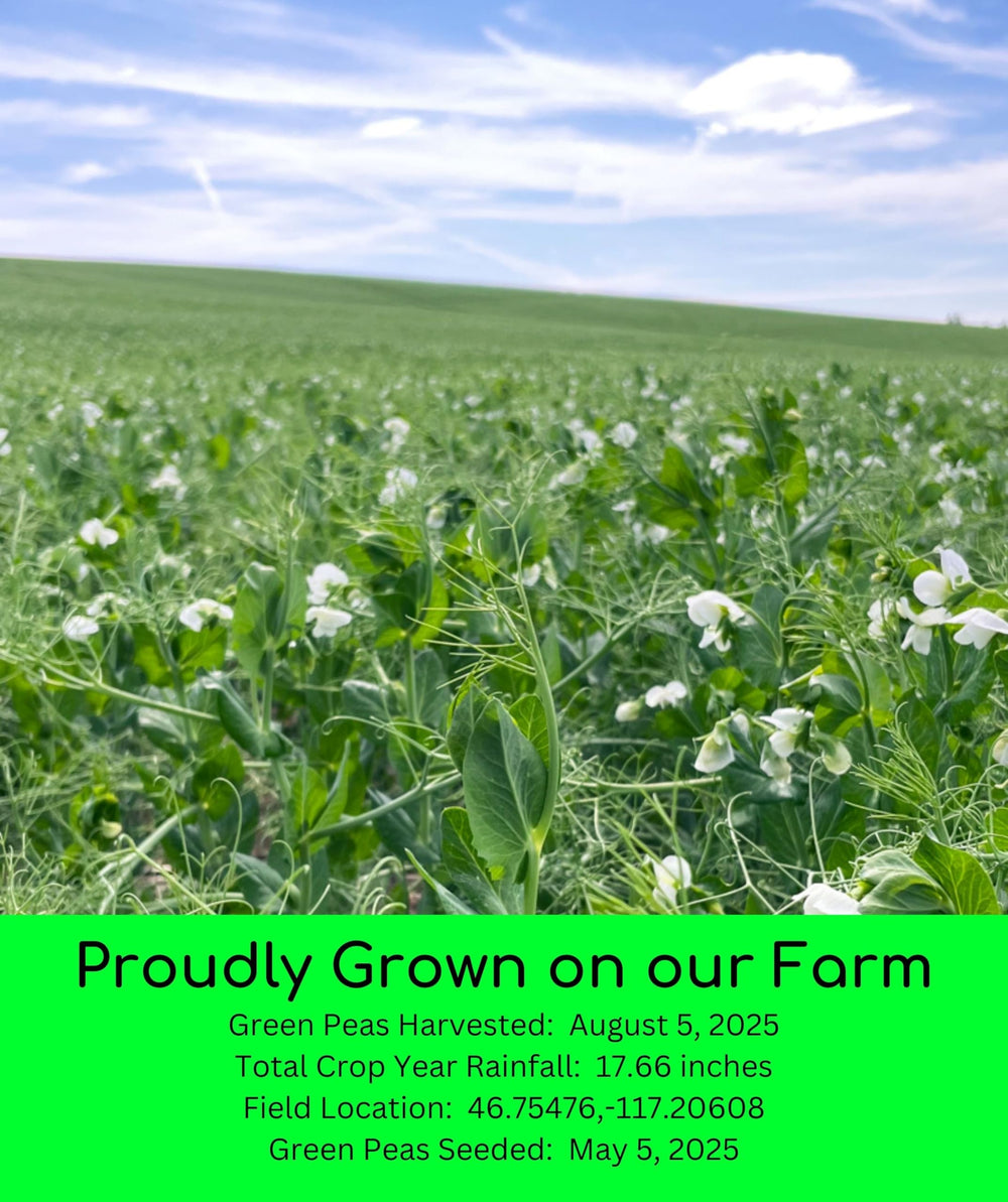 Palouse Brand green split peas open bag shows peas, triple-cleaned for purity.