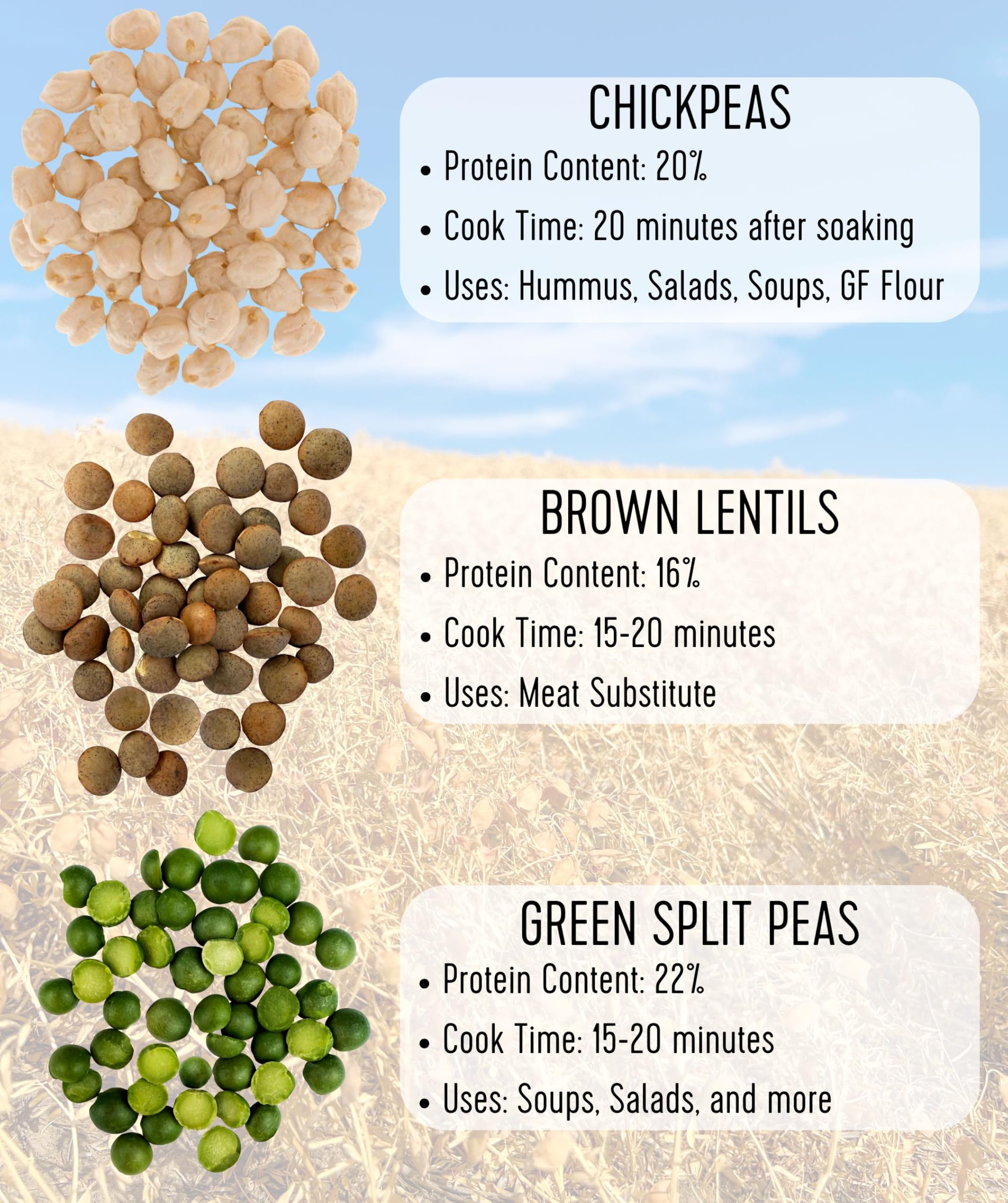 Palouse Brand long shelf life lentils ideal for bulk cooking and pantry planning.