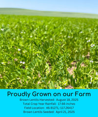 Palouse Brand sproutable lentils ready for sprouts, salads, and nutritious additions.