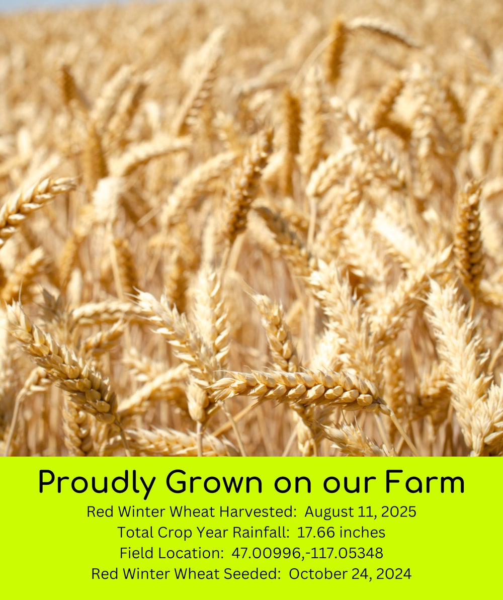 Palouse Brand wheat field in Washington illustrating farm-to-table origins.