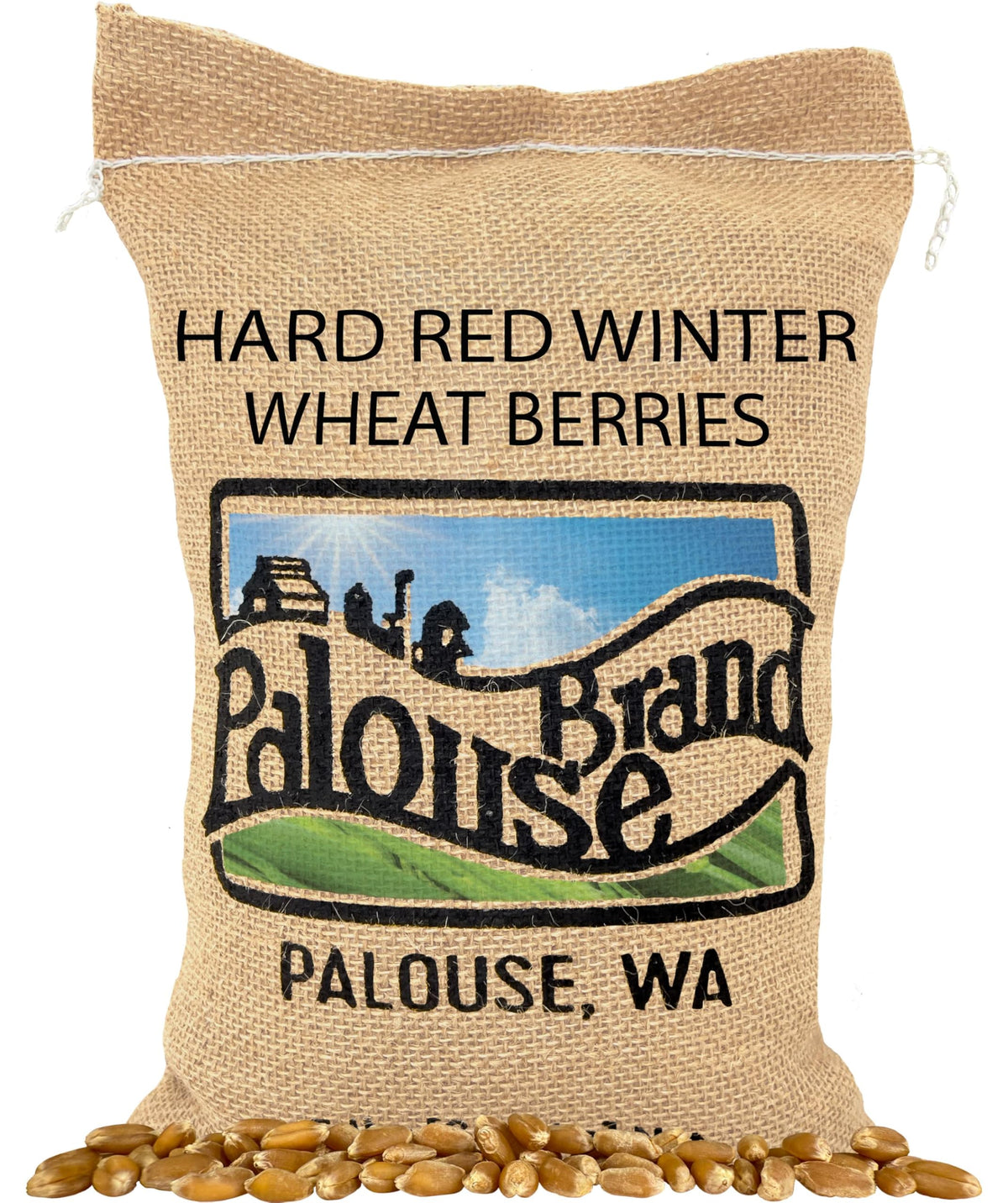 Palouse Brand 5 lb bag of wheat berries ready for wholesome grains at home.
