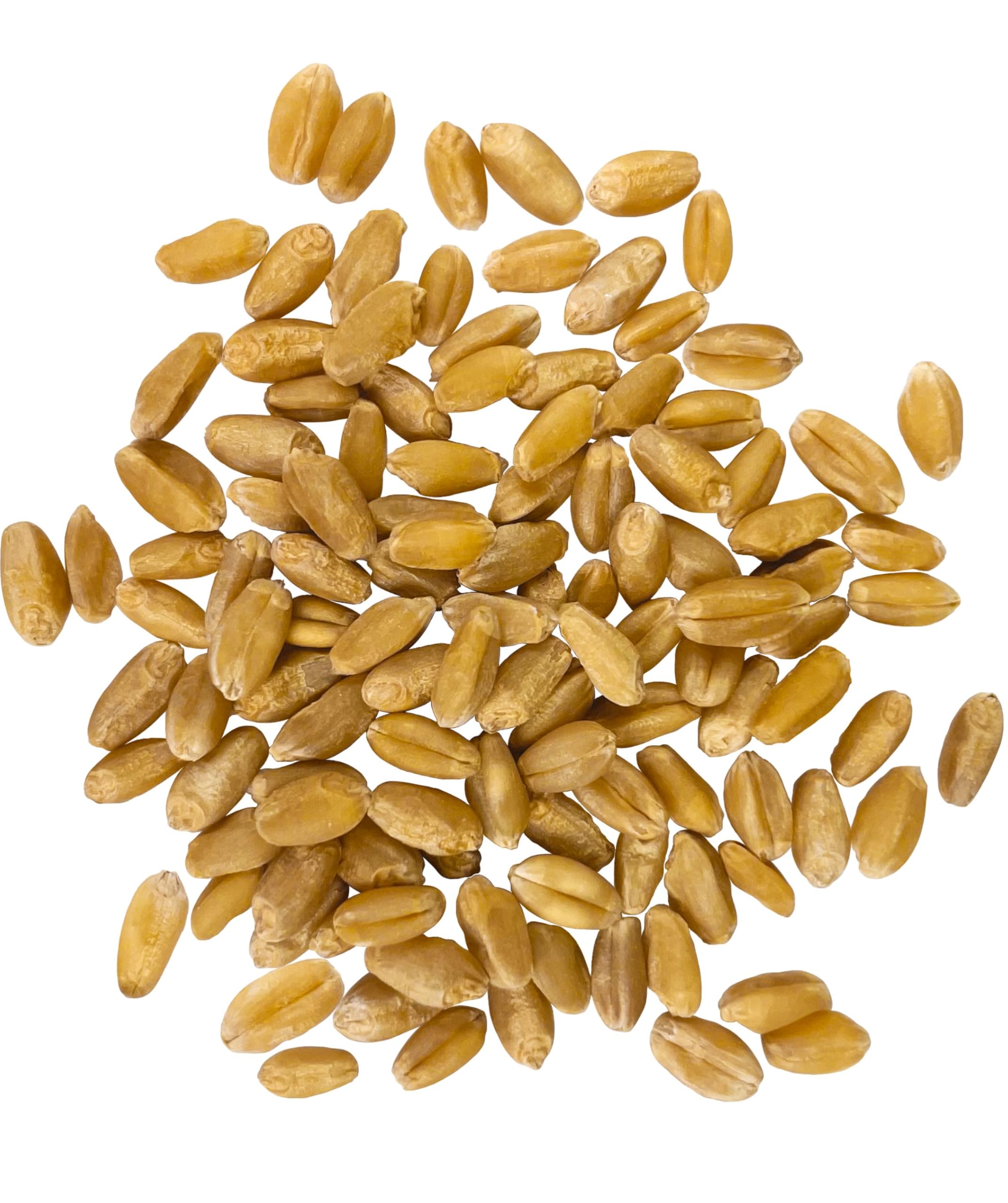 Palouse Brand wheat berries bulk bag highlight shelf-stable pantry staple.