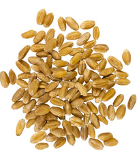 Palouse Brand wheat berries bulk bag highlight shelf-stable pantry staple.