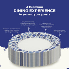 PAMI microwave-safe blue plates for quick reheating