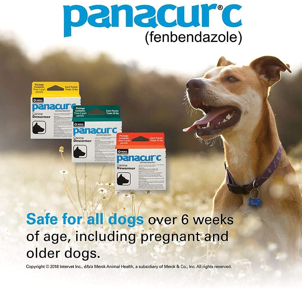 Front view of Panacur C packaging conveying trusted parasite protection for dogs.