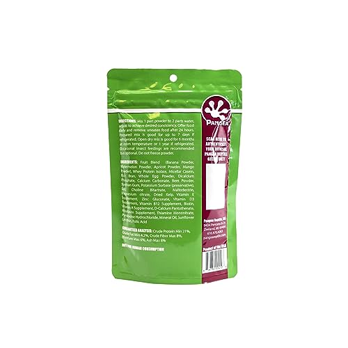 Pangea Gecko Diet serving in dish, showcasing fruit-rich nutrition and easy feeding