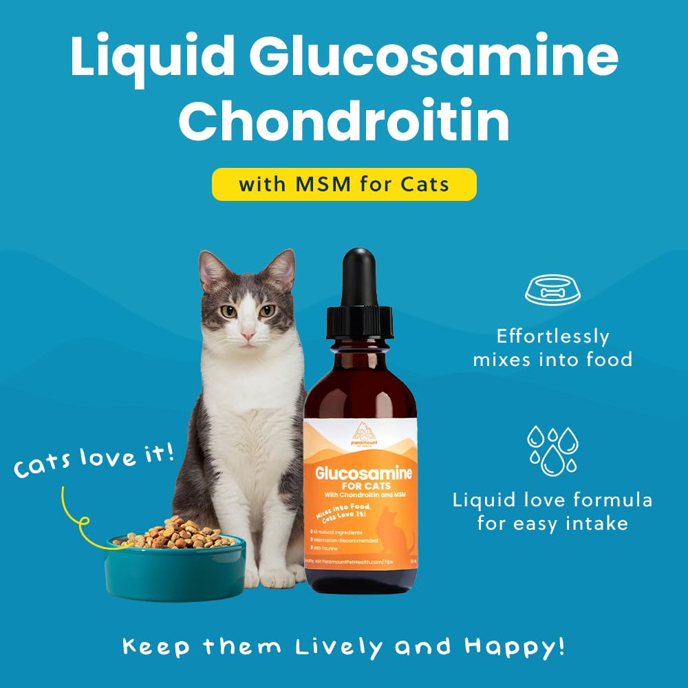 Paramount Pet Health cat joint-support drops dropper for seamless meal mixing.
