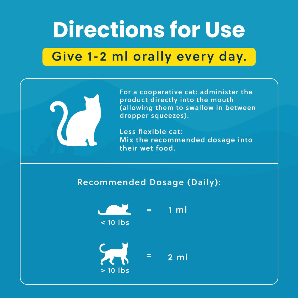 Paramount Pet Health daily-use joint routine keeps cats moving with ease.