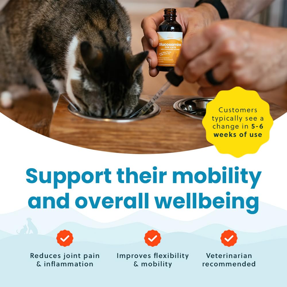Paramount Pet Health easy-mixing drops into wet or dry food for convenient daily mobility support.