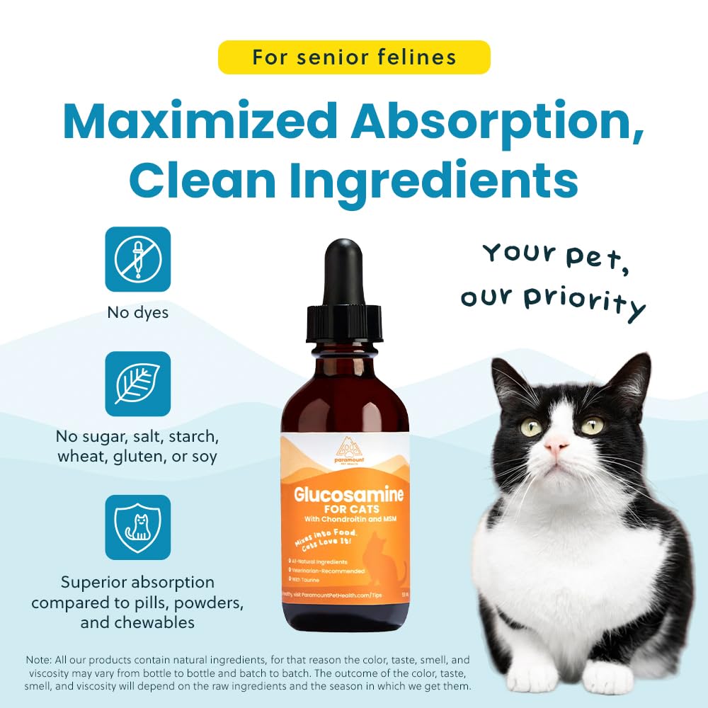 Paramount Pet Health senior-cat mobility care drops encourage flexible movement during daily activities.