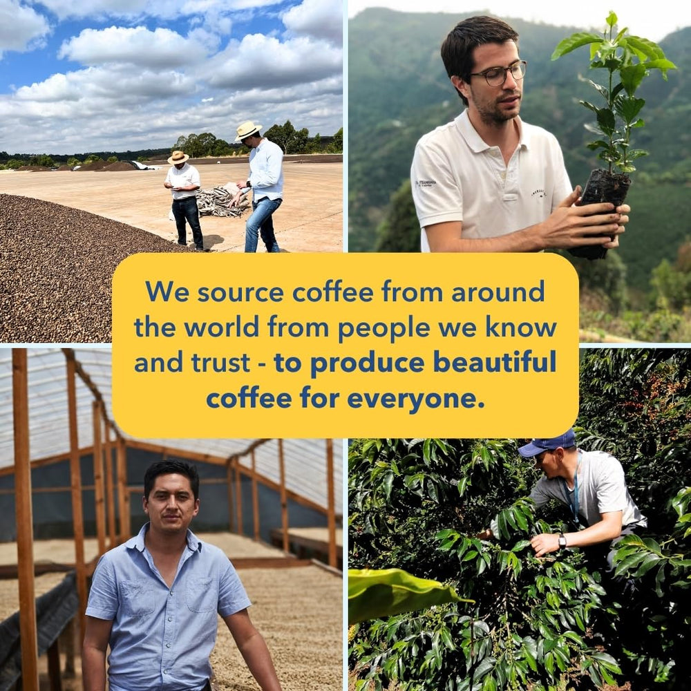 PARTNERS COFFEE ROASTERS lab-testing label emphasizes safety checks for metals and mycotoxins.