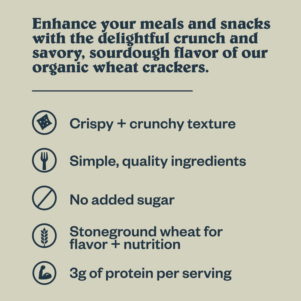 Patagonia Provisions organic stoneground wheat crackers offer rustic texture.