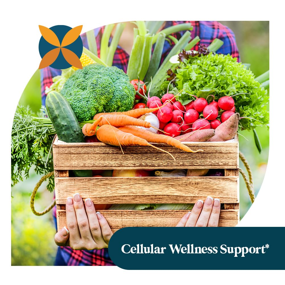 Pattern Wellness circulatory support garlic capsules promoting healthy flow and energy.