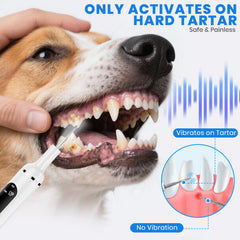 PATWING plaque remover offers five modes for flexible at-home cleaning