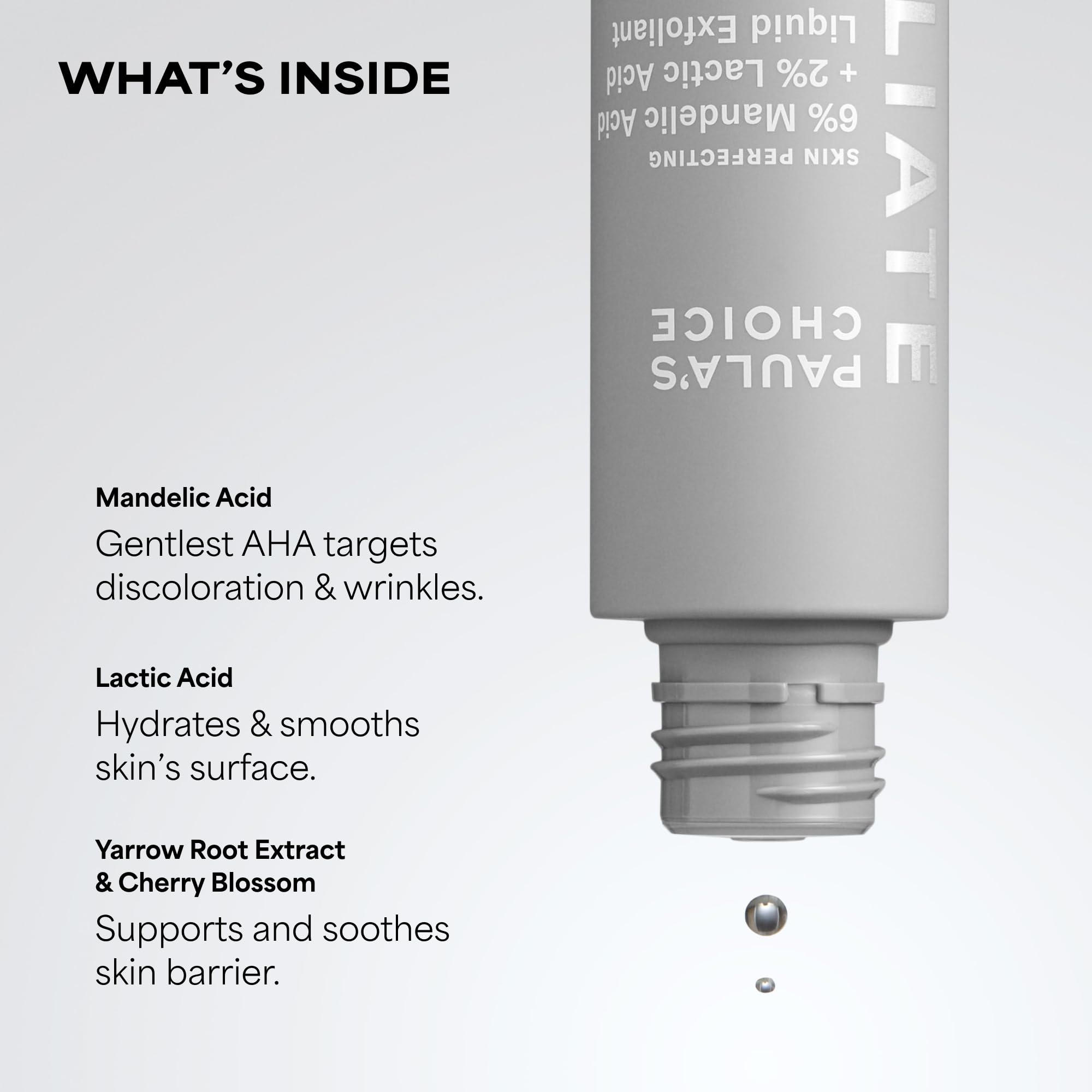 Fermented antioxidant blend components for skin barrier support