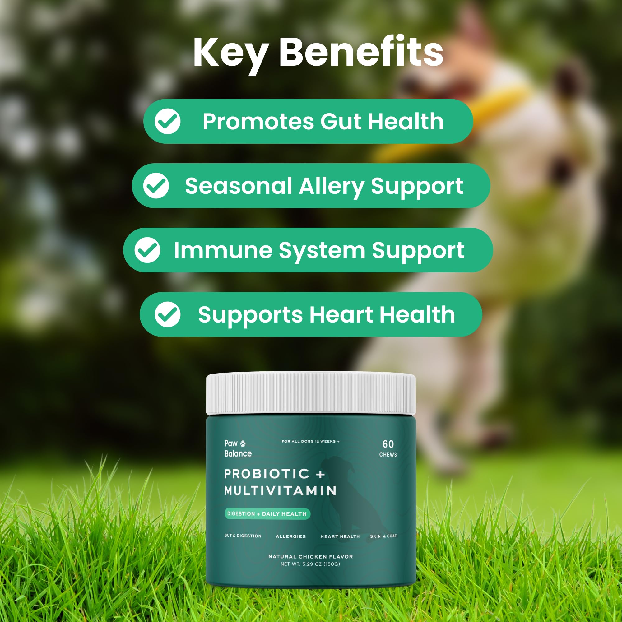 Paw Balance chews in a dog bowl for daily digestion and coat health.