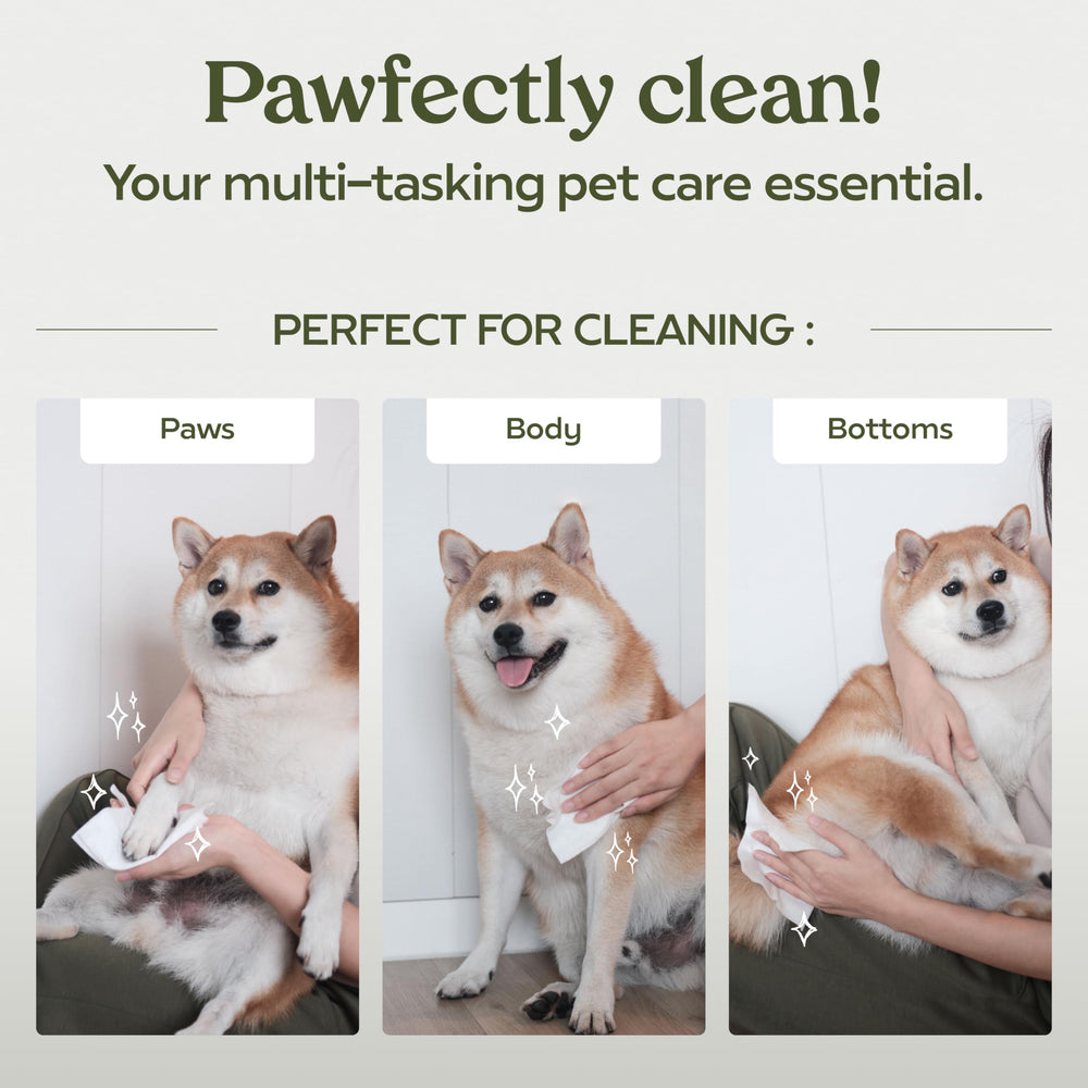 Paw Fume paw wipes on-the-go for quick outdoor cleaning.