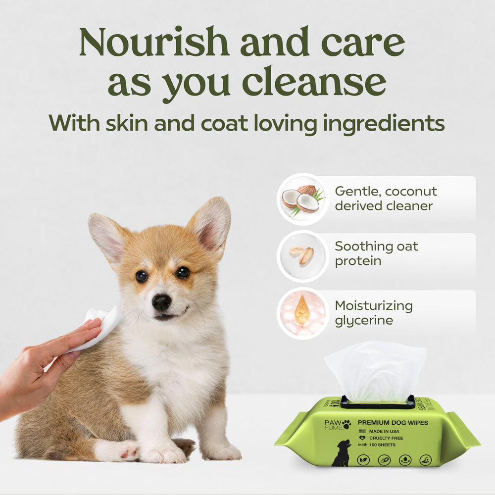 Paw Fume tear-stain wipes brighten your pet's coat.