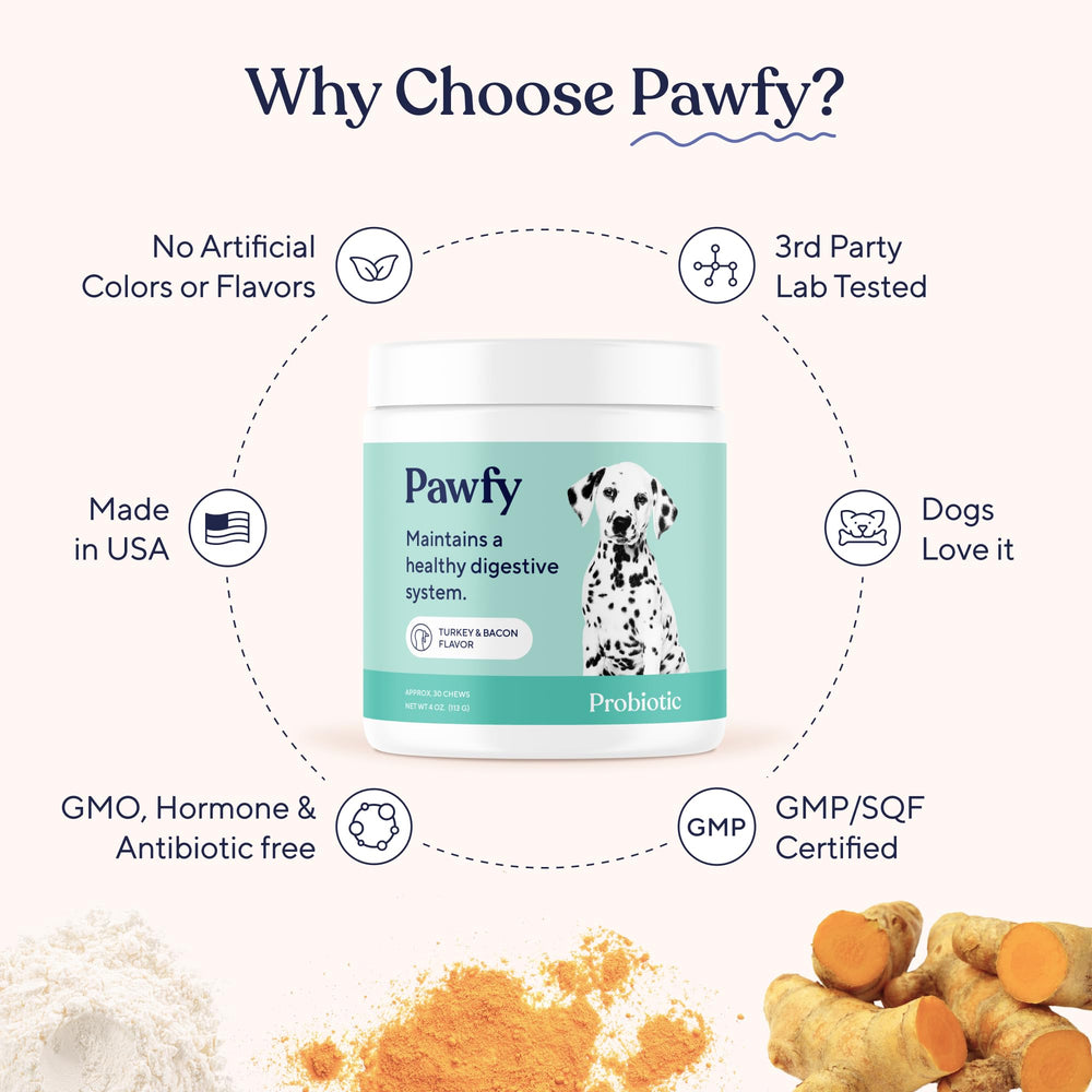 Pawfy Probiotics for Dogs healthy skin appearance emphasizes potential skin comfort.