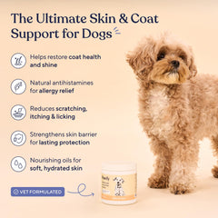 Pawfy chews pack in bacon flavor indicating allergy relief for dogs.