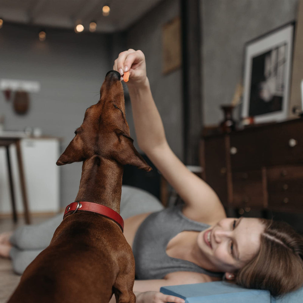 Pawmate Sweet Potato Treats hypoallergenic option for dogs with sensitivities
