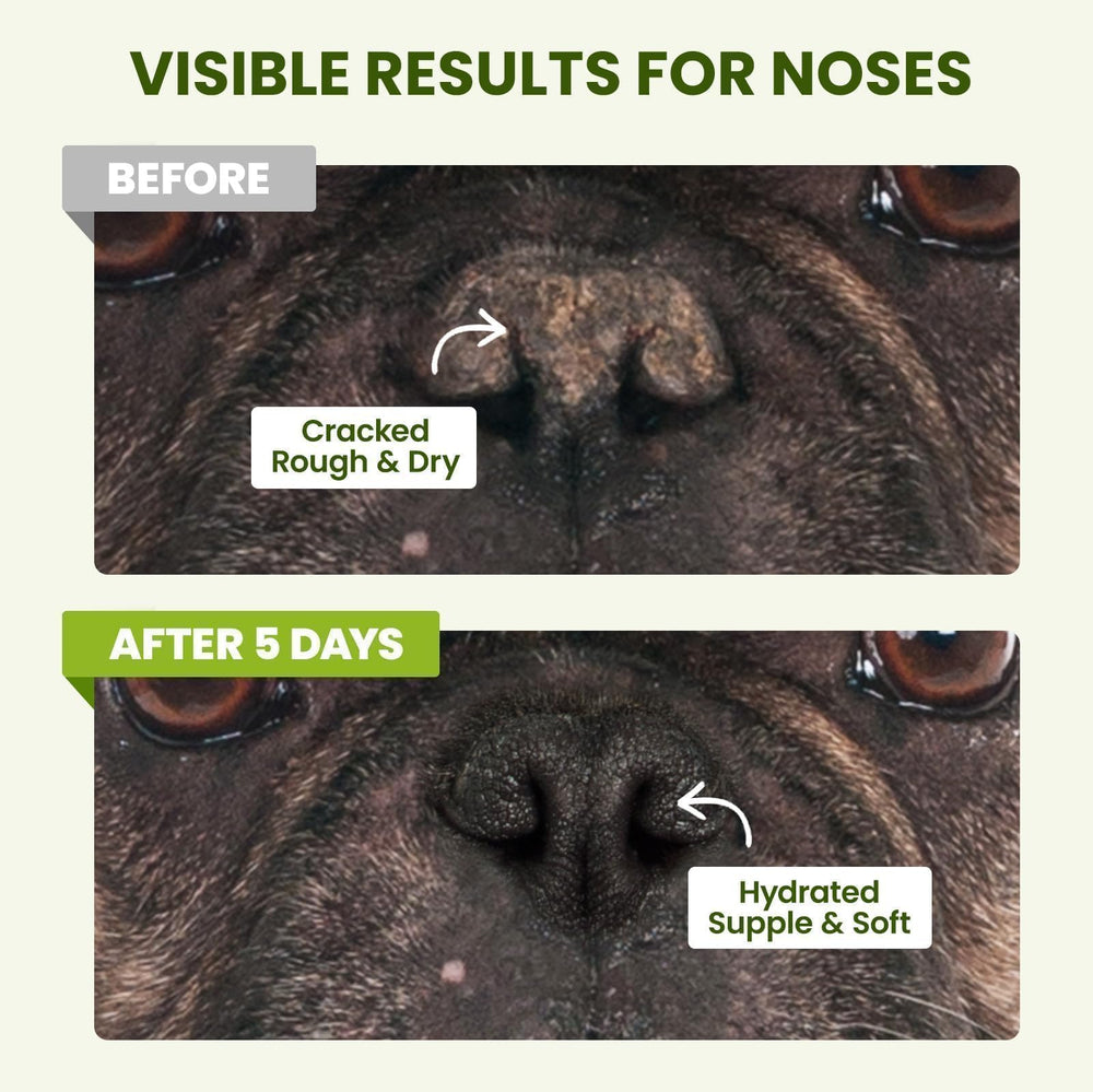 PawSono aloe vera layer offers gentle soothing on irritated noses.
