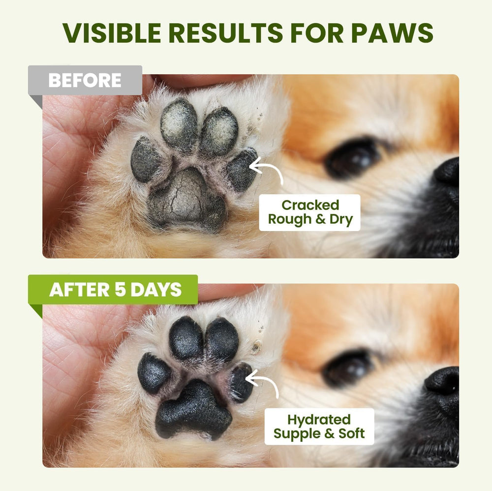 PawSono olive oil component softens paw pads for everyday comfort.