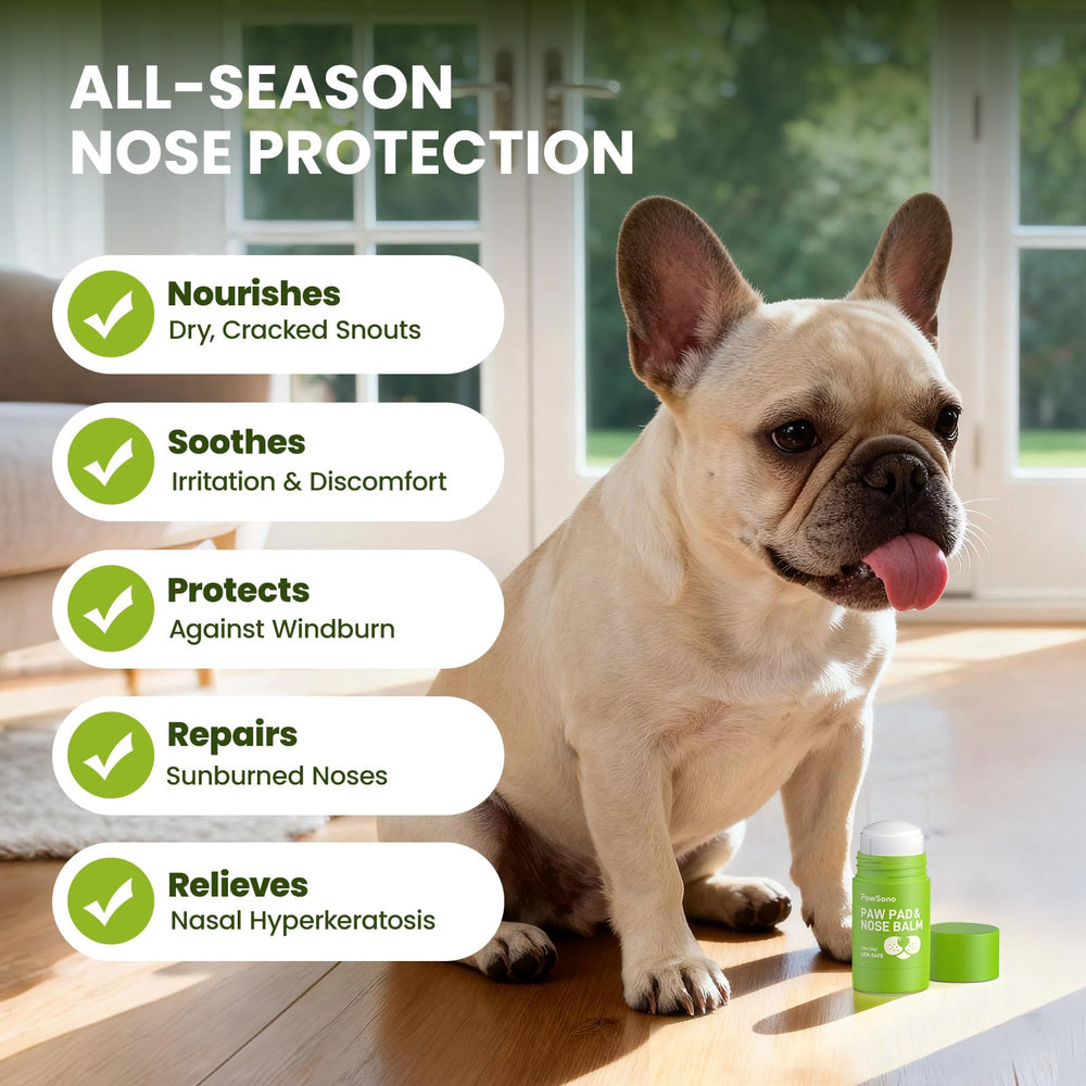 PawSono offers year-round care for dogs during outdoor activities.