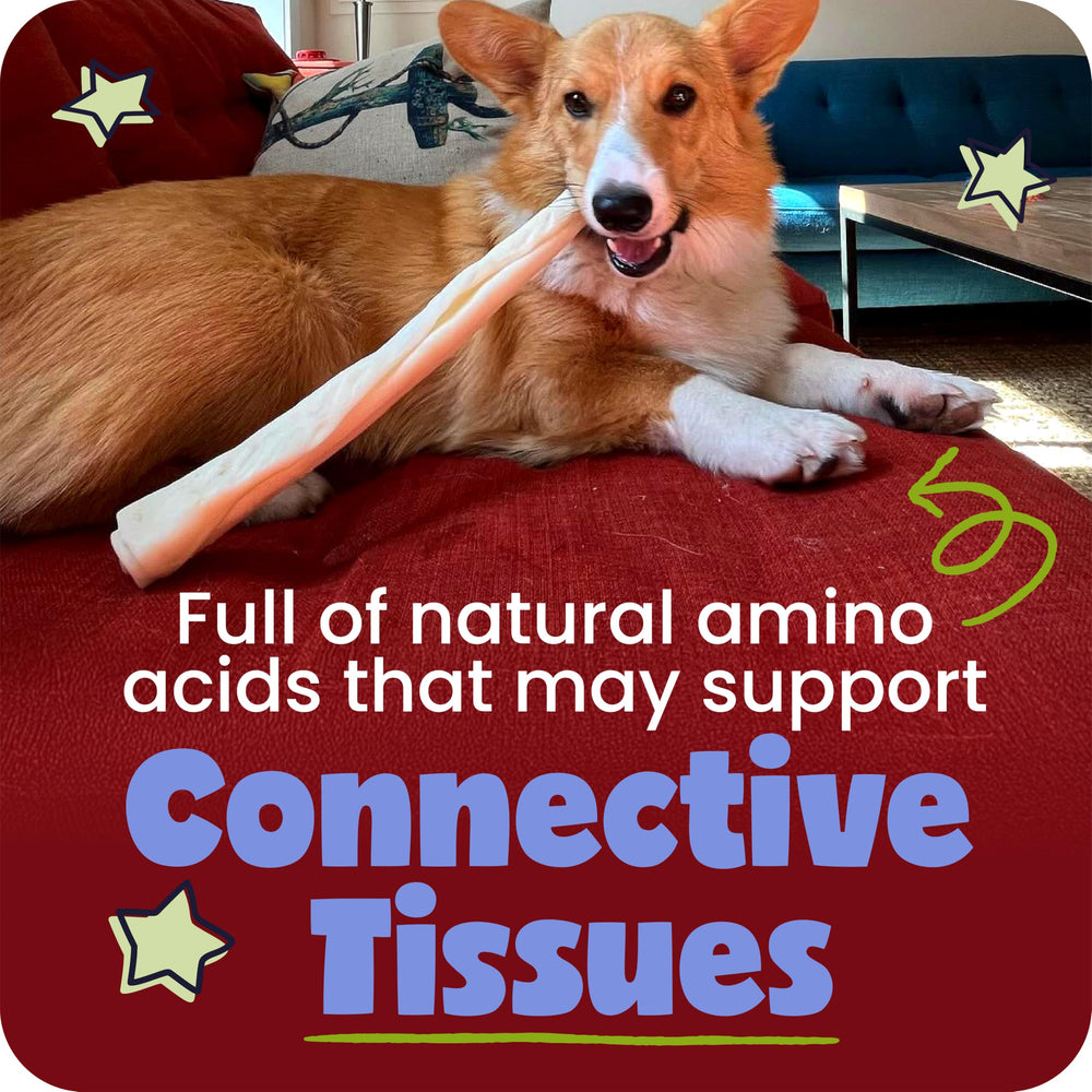 Pawstruck Beef Collagen Sticks dental-action shot shows tartar and plaque removal via chewing.