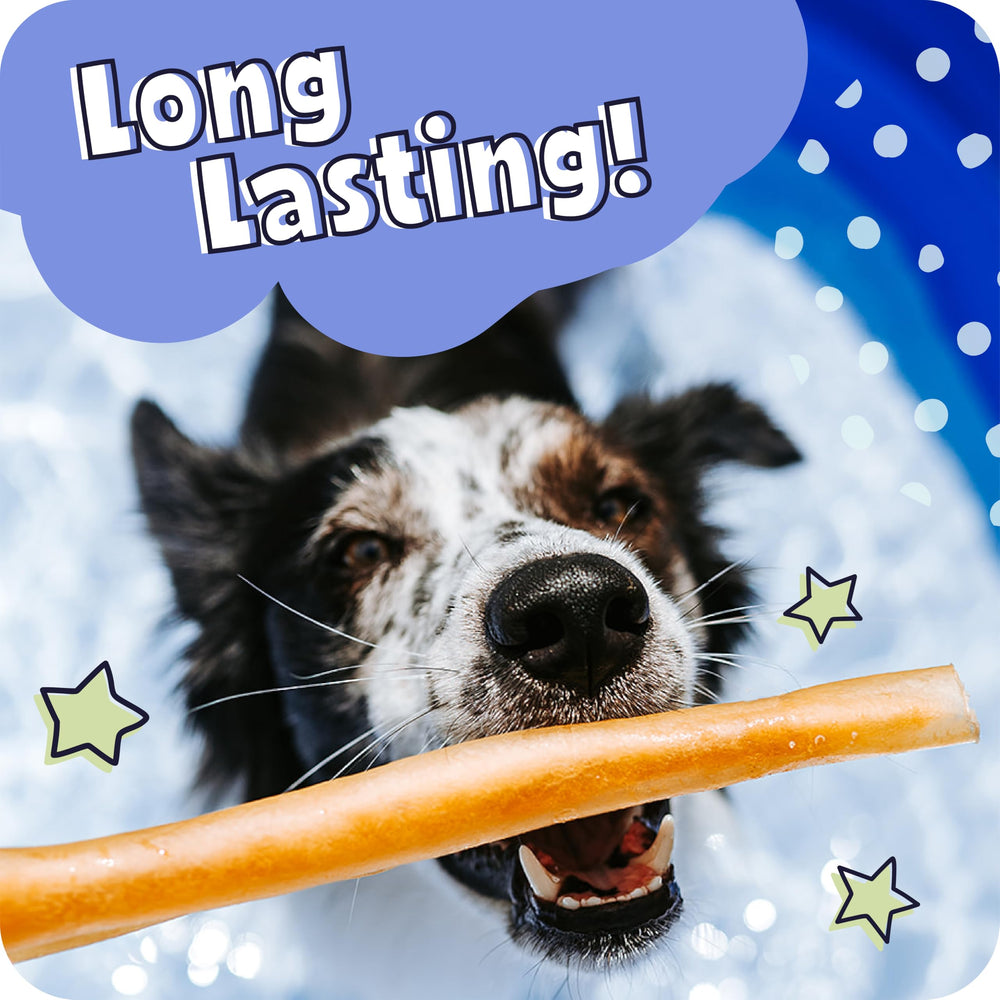 Pawstruck Beef Collagen Sticks long-lasting chew session promotes focus and engagement.
