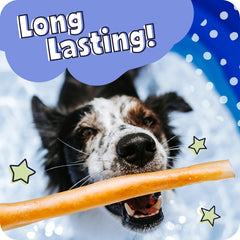 Pawstruck Beef Collagen Sticks long-lasting chew session promotes focus and engagement.