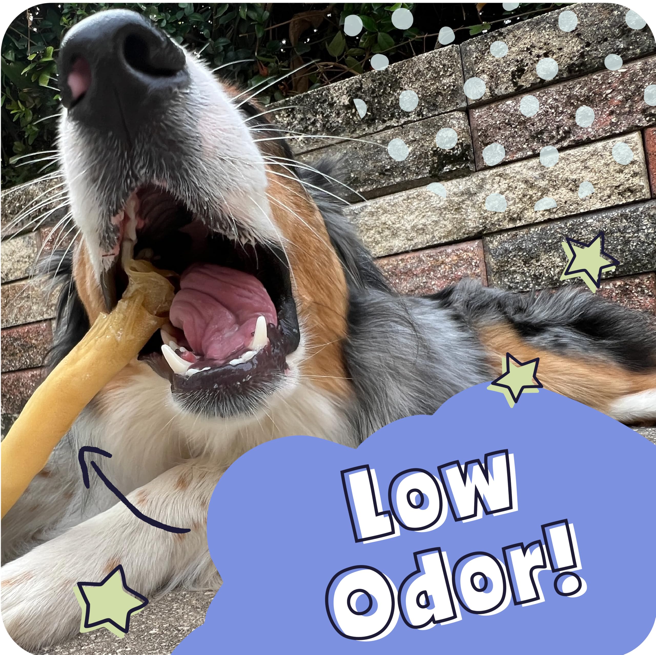 Pawstruck all-natural collagen sticks offer protein-rich snacks with low fat.