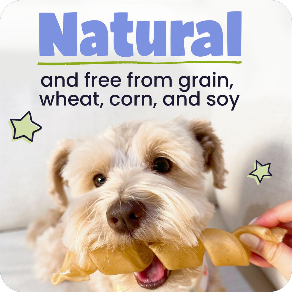 Pawstruck collagen sticks low odor chew ideal for indoor use and quiet chewing.