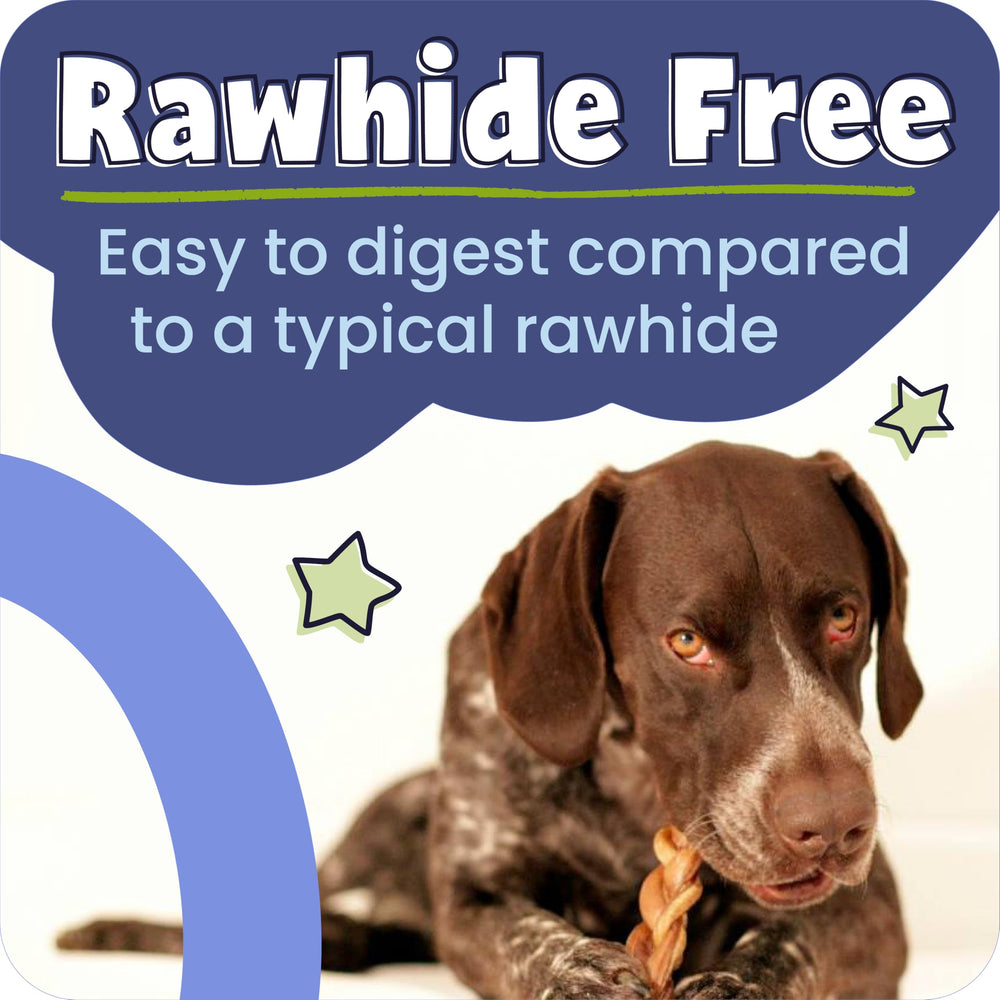 Pawstruck rawhide-free chew label image emphasizes safe, digestible chewing for dogs.