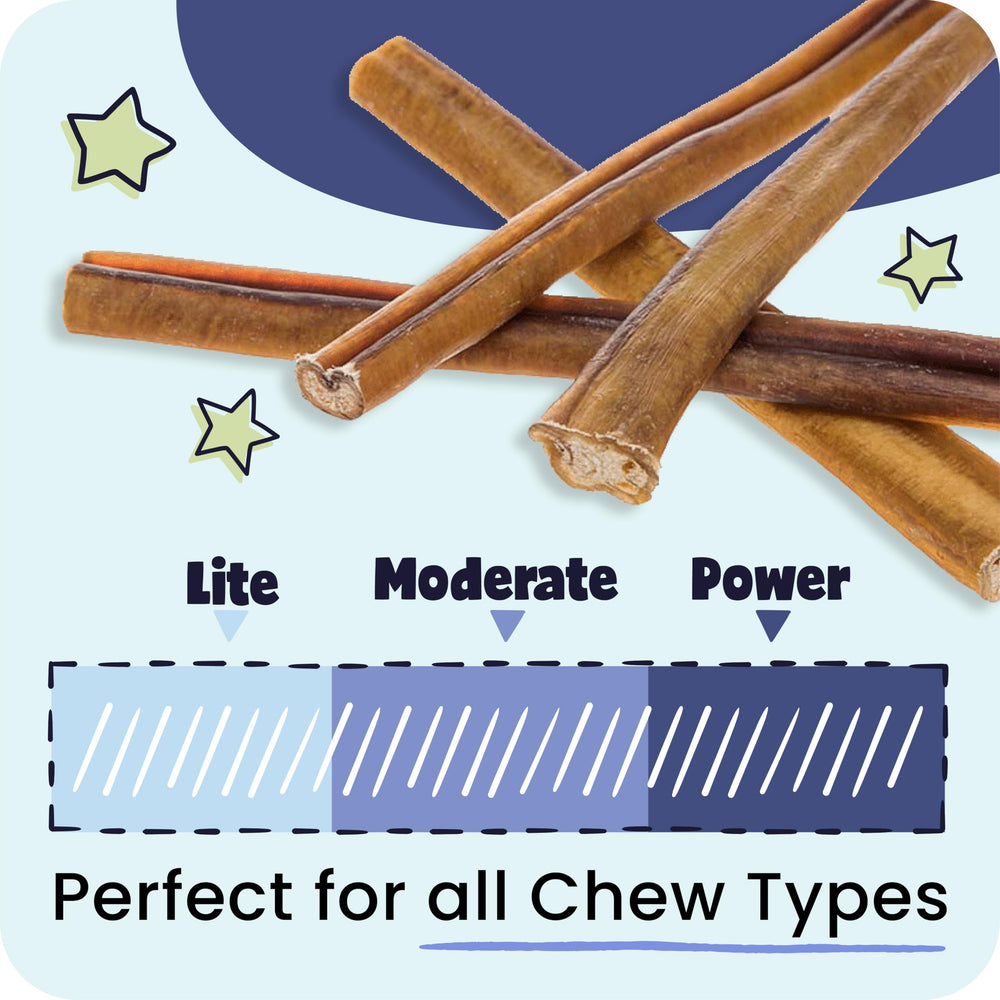 Pawstruck small business brand shot reinforces trusted pet-parent quality.
