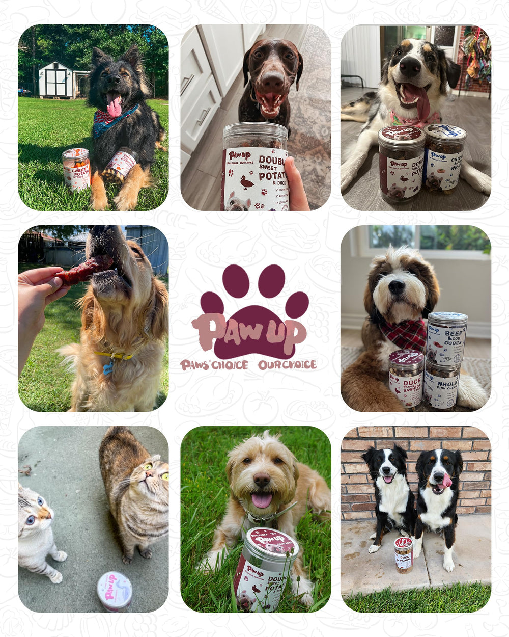 PAWUP duck jerky strips hypoallergenic protein for sensitive dogs.