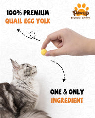 PAWUP treats pack emphasizes gluten-free, grain-free recipe for carnivores.