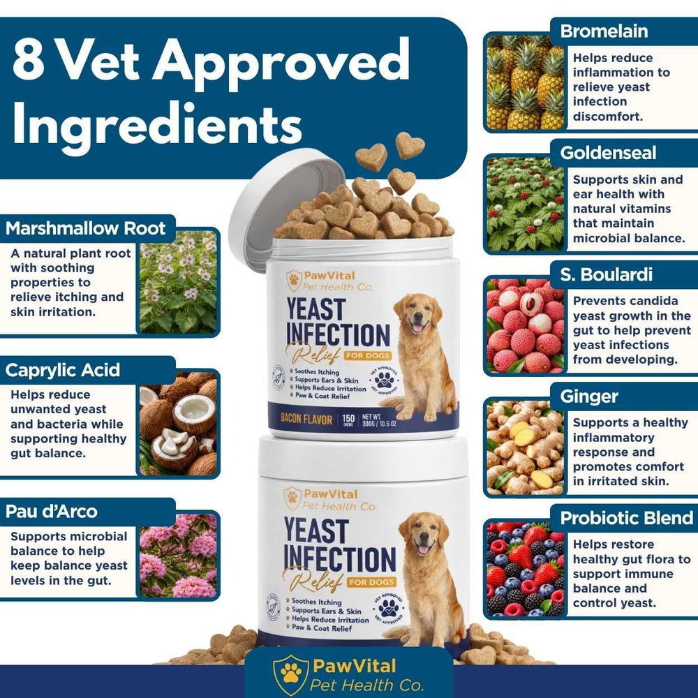 PawVital 8-herb blend with probiotics supports gut balance.