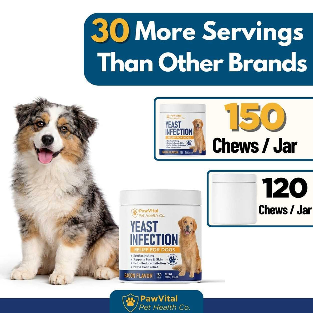PawVital ear and paw relief targets irritated areas for comfort.