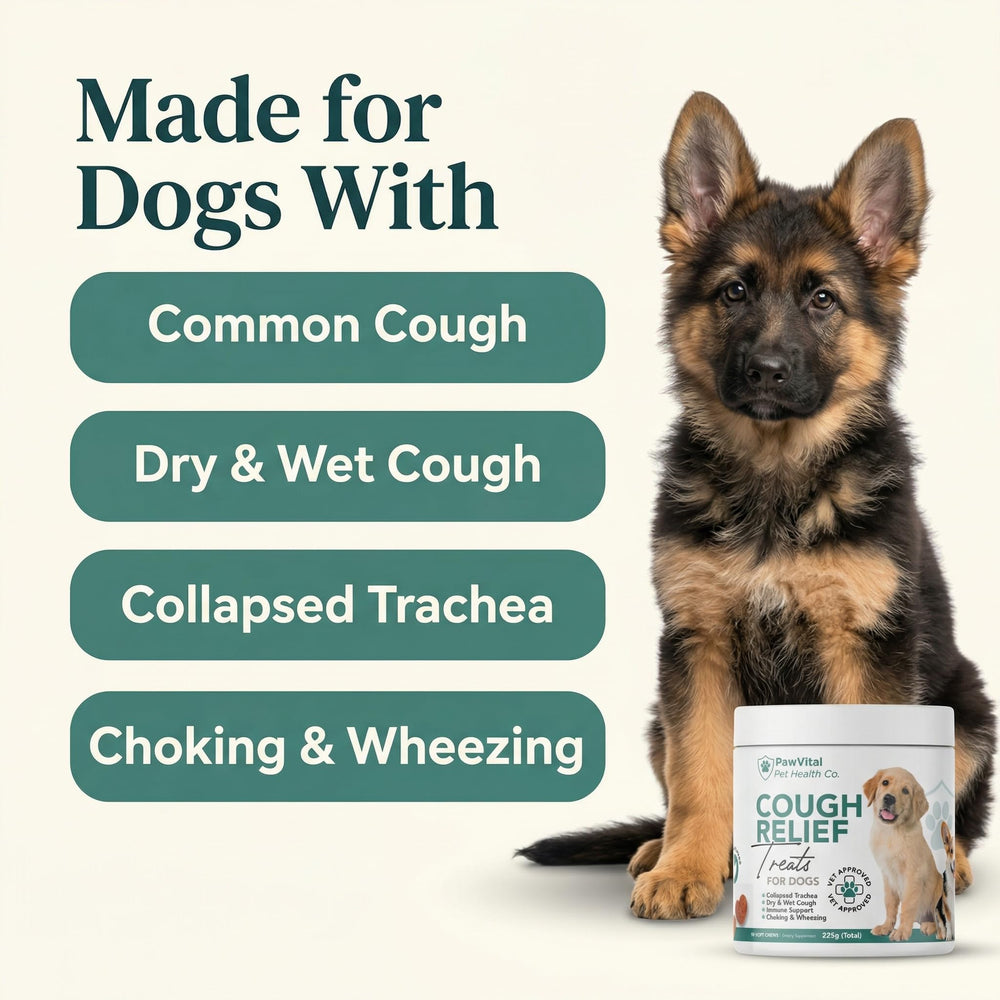 PawVital 9-active-ingredients blend for canine respiratory comfort.