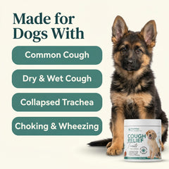 PawVital 9-active-ingredients blend for canine respiratory comfort.