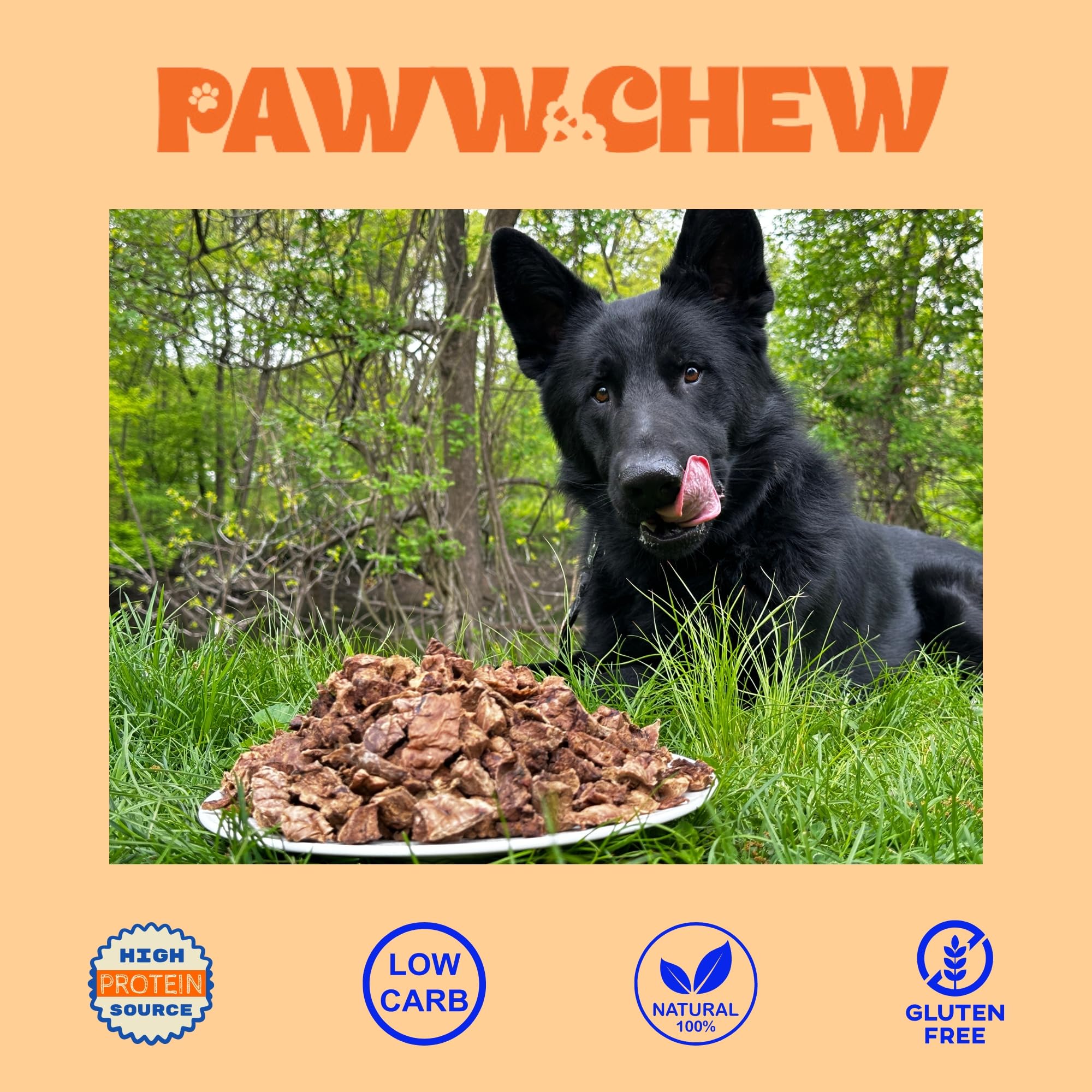 Dog enjoying Paww Chew Beef Lung Treats during a training session.
