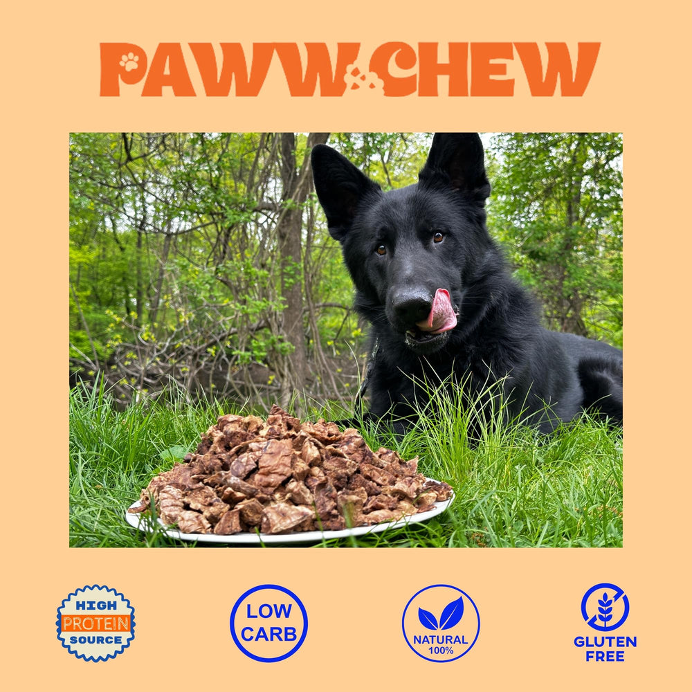 Dog enjoying Paww Chew Beef Lung Treats during a training session.