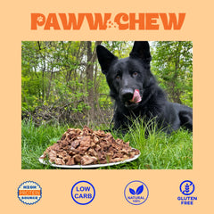 Dog enjoying Paww Chew Beef Lung Treats during a training session.
