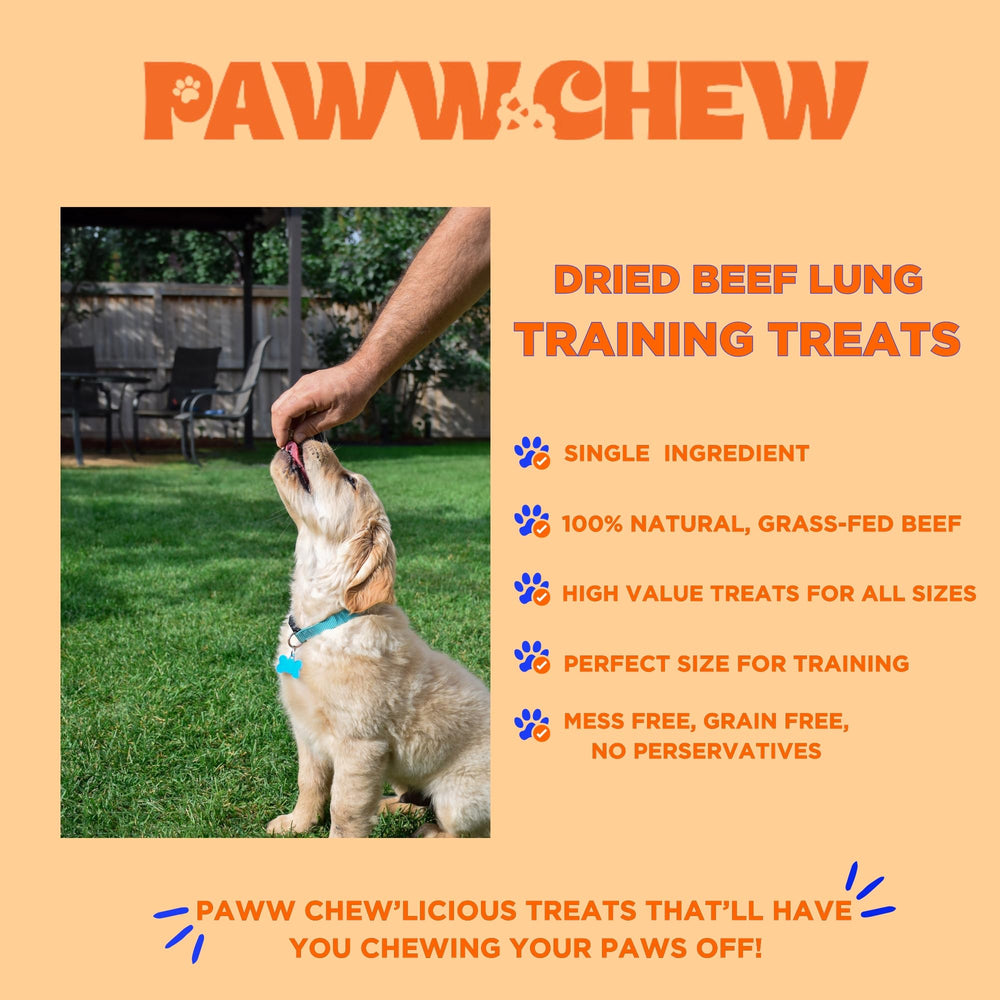 Paww Chew Beef Lung Treats used as a training reward for dogs.