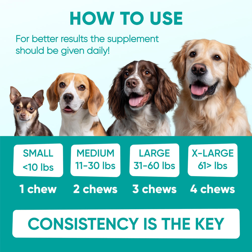 Pawzitive Pets 120 soft treats tin ready for on the go calming.